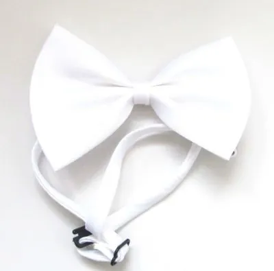 Lion Kediler İçin Papyon - 7