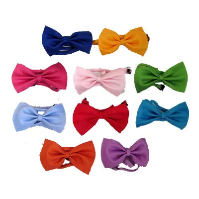 Lion Kediler İçin Papyon - 2