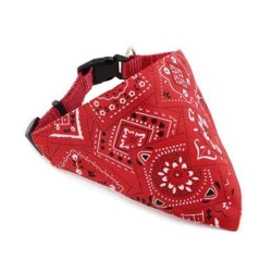 Lion Köpekler İçin Fularlı Tasma