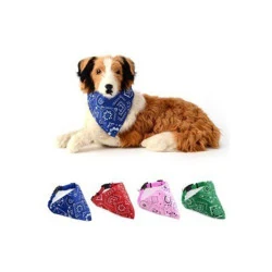 Lion Köpekler İçin Fularlı Tasma S - 4