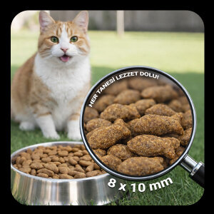 Luis Somonlu Yetişkin Kedi Maması 15 Kg - 5