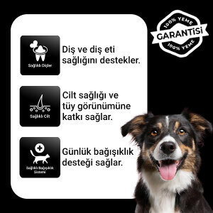 Luis Biftekli Yetişkin Köpek Maması 1 Kg x 6 Adet - 2