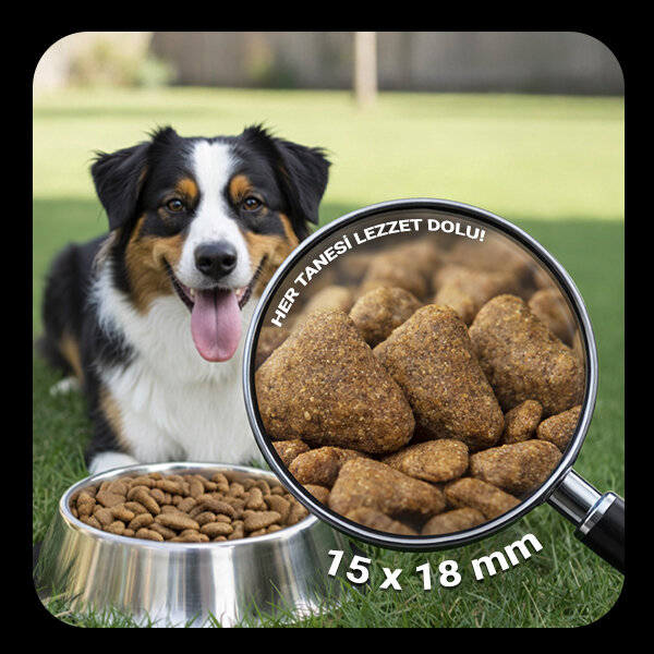 Luis Biftekli Yetişkin Köpek Maması 1 Kg x 6 Adet - 5