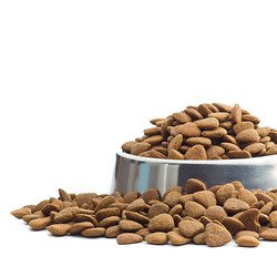 Luis Kuzu Etli Yetişkin Kedi Maması 15 Kg - 2