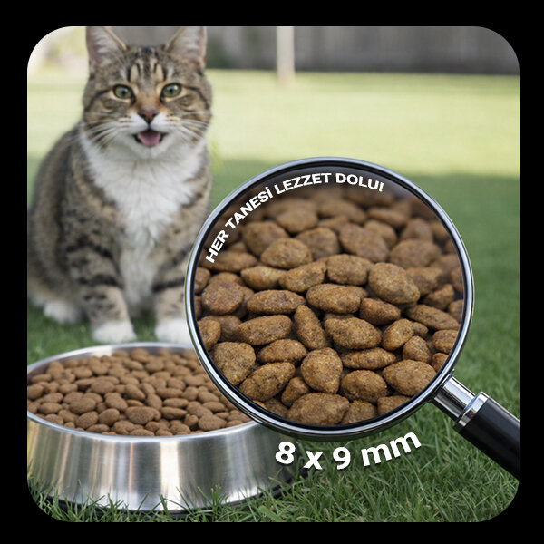 Luis Kuzu Etli Yetişkin Kedi Maması 15 Kg - 5