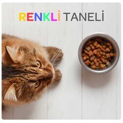 Luis Multicolor Renkli Taneli Tavuklu Yetişkin Kedi Maması 15 Kg - 2