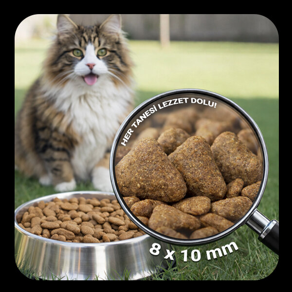 Luis Tavuklu Yetişkin Kedi Maması 15 Kg - 5