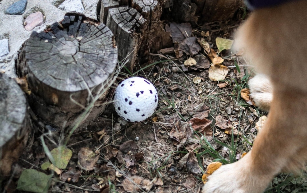M-Pets Bloom Parçalanmaz Oyun Topu - Beyaz/Siyah - 5