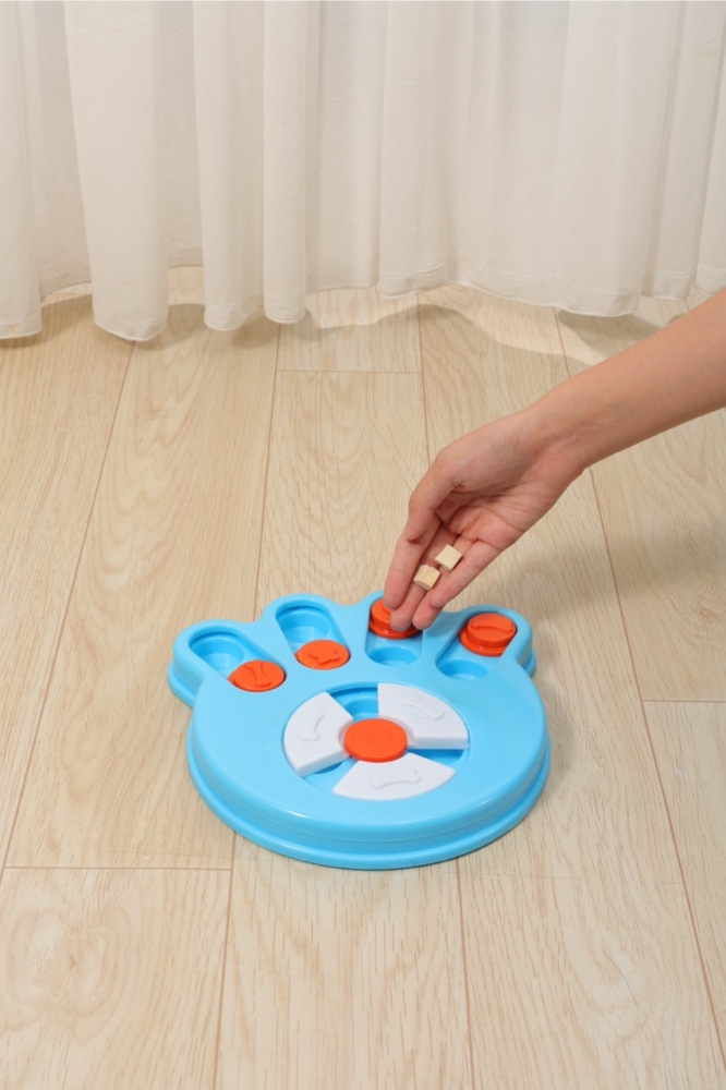 M-PETS Brainy Games Darwin Köpek Zeka Oyunu 1. Seviye - 5