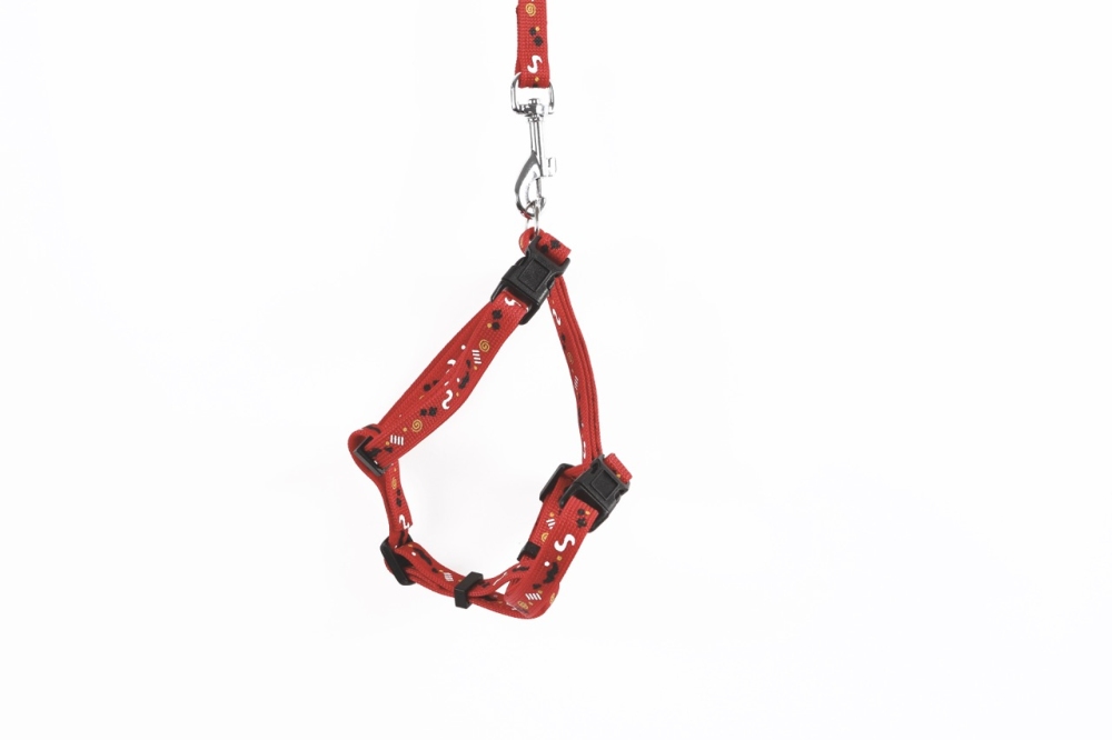 M-Pets Catogo Kedi Göğüs ve Gezdirme Tasması - Kırmızı - 2