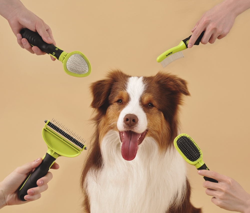 M-Pets Click And Groom Kavisli Tarak 8x7x5 cm (S) - 4