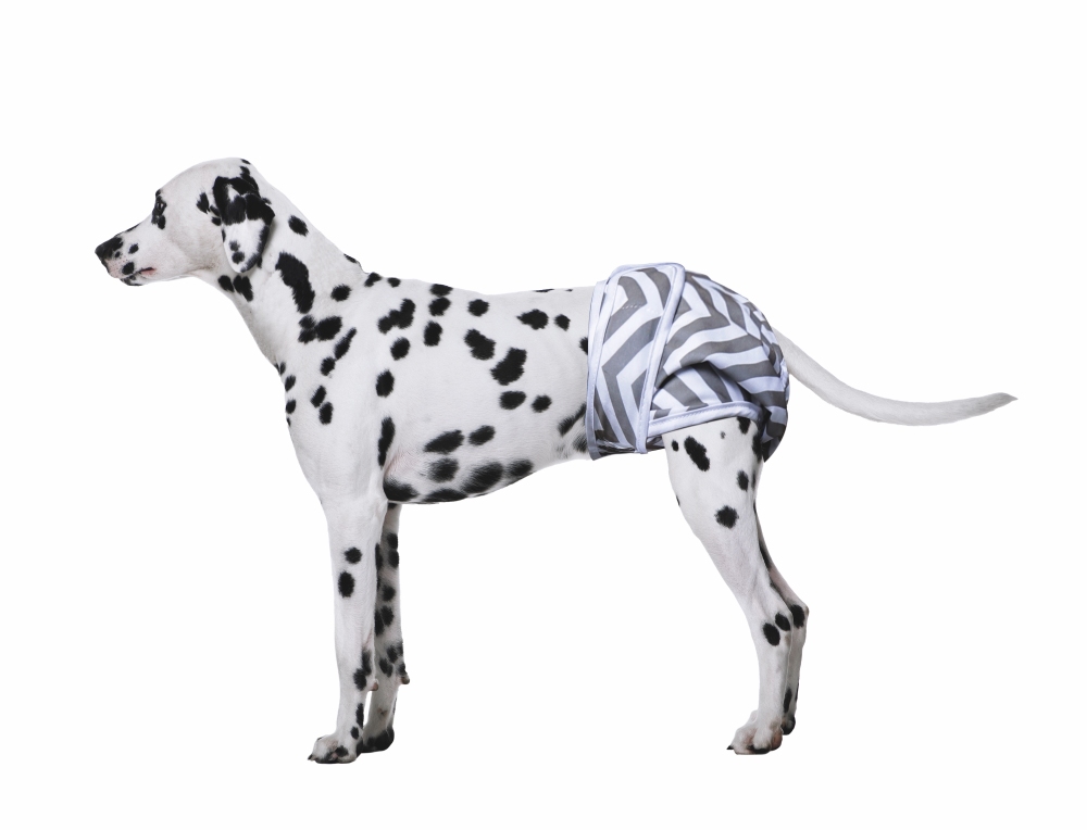 M-Pets Dişi Köpekler İçin Yıkanabilir 2'li Külot Bez 48,2x68,5 cm (L) - 2