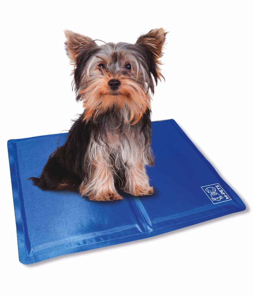 M-Pets Frozen Köpek Serinletici Minder (XS) 30x40 cm - 2