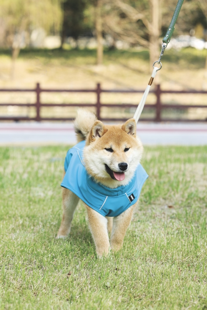 M-Pets Köpek Yağmurluğu (Xl) - 6
