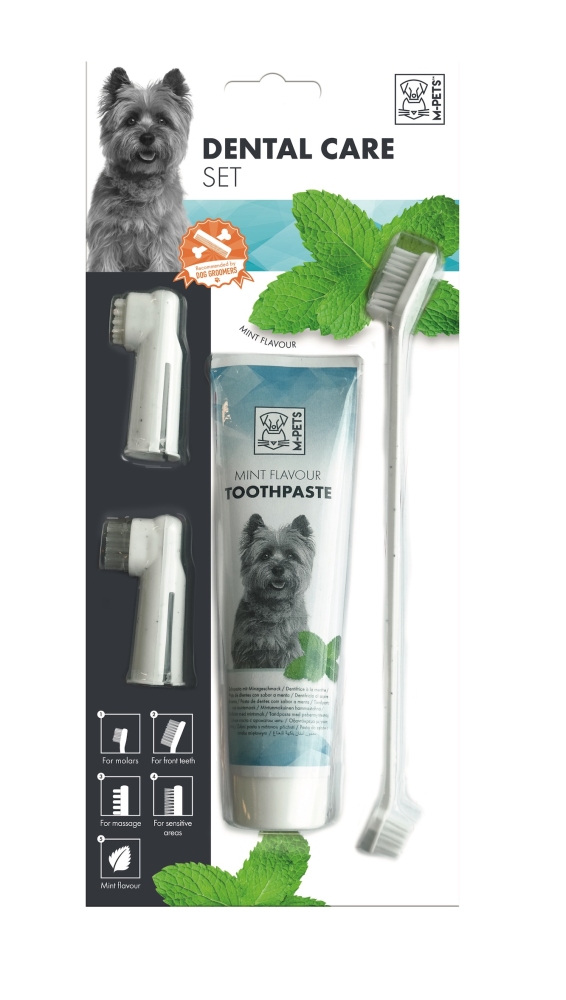 M-Pets Naneli Köpek Diş Macunu ve Fırça Seti - 1