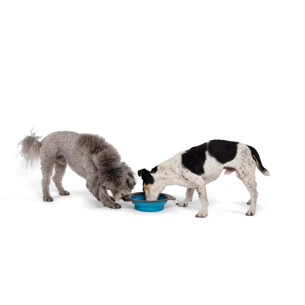 M-Pets On The Road Katlanabilen Mama Kabı (L) 1230 ml Turkuaz/Kahverengi - 4