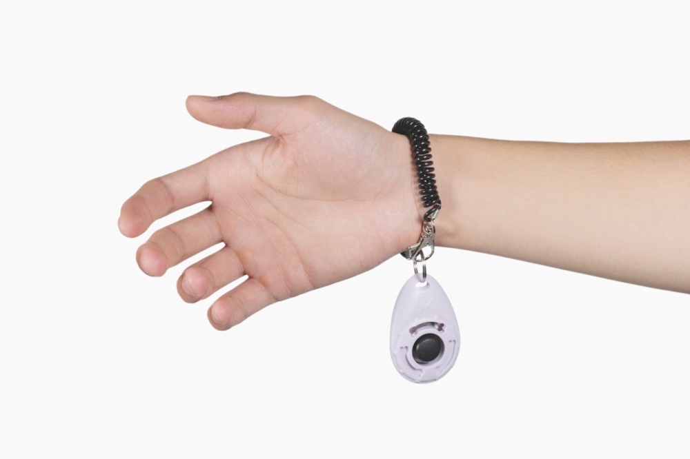 M-Pets Training Clicker Köpek Eğitim Aparatı Beyaz/Siyah - 4