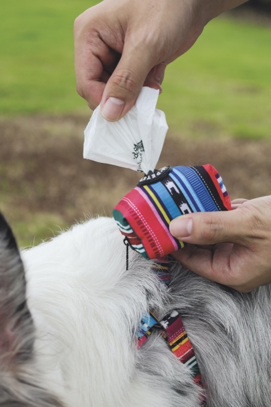 M-Pets Urban Style Jazz Stripes Dışkı Poşeti Taşıma Aparatı - 4