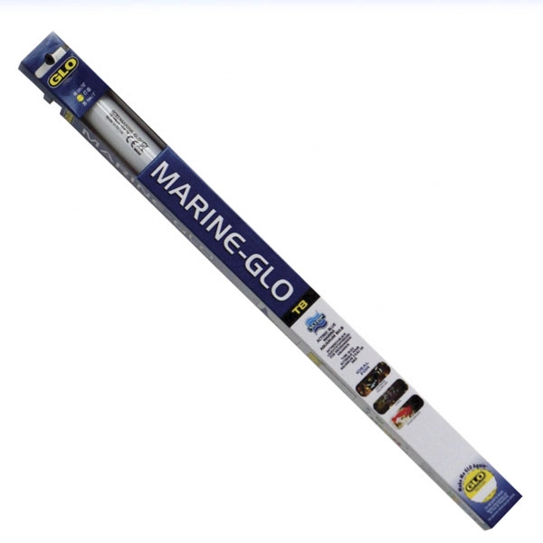 Marine Glo T8 40 W-120 Cm - 1