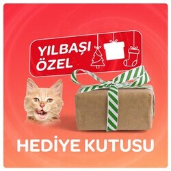 Markamama Kediler İçin Sürpriz Hediye Kutusu