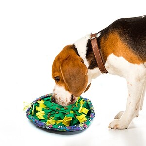 Markamama Salata Bulmaca Köpek Zeka Oyuncağı - 2