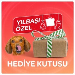 Markamama Köpekler İçin Sürpriz Hediye Kutusu
