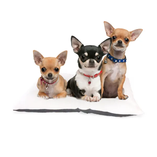 Markamama Kedi ve Köpek Minderi 60X45 Cm - 2