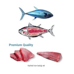 Me-O Tahılsız Tuna Balıklı Yaş Kedi Maması 70 GR - 6