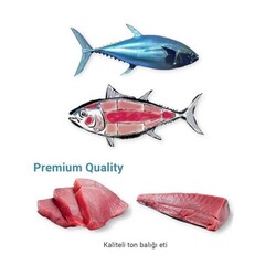 Me-O Ton Balıklı Yavru Kedi Yaş Maması 80 Gr - 5