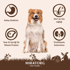 Miratorg Extra Meat Tavuklu Gravy Yetişkin Köpek Yaş Maması 85 g - 4