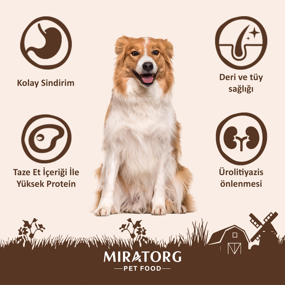 Miratorg Extra Meat Tavuklu Gravy Yetişkin Köpek Yaş Maması 85 g - 4