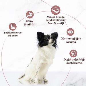 Miratorg Extra Meat Puppy Mini Sığır Etli Küçük Irk Yavru Köpek Maması 1.5 kg - 4