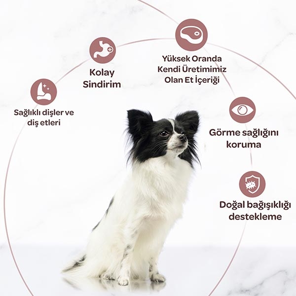 Miratorg Extra Meat Puppy Mini Sığır Etli Küçük Irk Yavru Köpek Maması 1.5 kg - 4