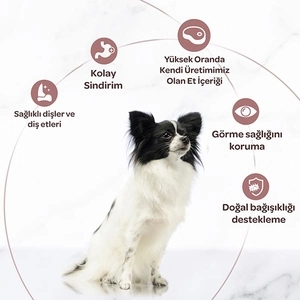 Miratorg Extra Meat Puppy Mini Sığır Etli Küçük Irk Yavru Köpek Maması 1.5 kg - 4