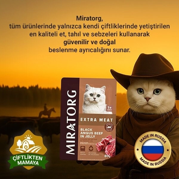 Miratorg Sterilised Jelly Kısırlaştırılmış Angus Sığır Etli Kedi Yaş Maması 80 Gr - 3