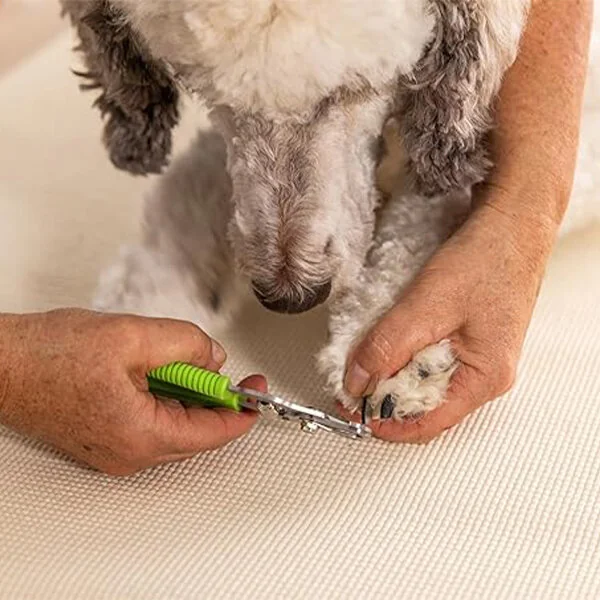 Moser Tırnak Makası Büyük - 2