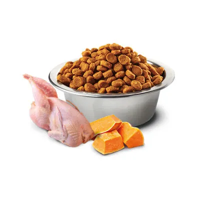 N&D Bal Kabaklı Bıldırcınlı Kedi Maması 1.5 Kg - 2