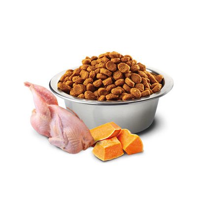 N&D Tahılsız Bal Kabaklı Bıldırcın Kısırlaştırılmış Kedi Maması 1.5 Kg - 3