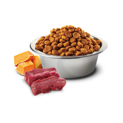 N&D Pumpkin Balkabaklı, Geyik Etli ve Elmalı Yetişkin Kedi Maması 1.5 kg - 2