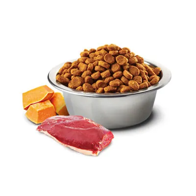 N&D Tahılsız Bal Kabaklı Ördekli Kedi Maması 5 KG - 2