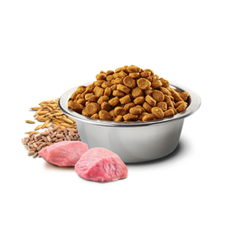 N&D Düşük Tahıllı Kuzu Etli ve Yaban Mersinli Yetişkin Köpek Maması 2.5 kg - 3