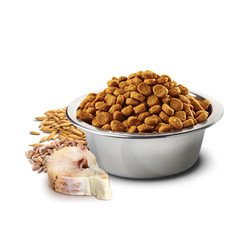 ND Düşük Tahıllı Ocean Morina Balıklı Portakallı Köpek Maması 12 KG - 3