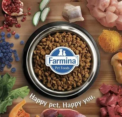 N&D Düşük Tahıllı Orta ve Büyük Irk Kuzu Etli ve Yaban Mersinli Köpek Maması 12 KG - 3