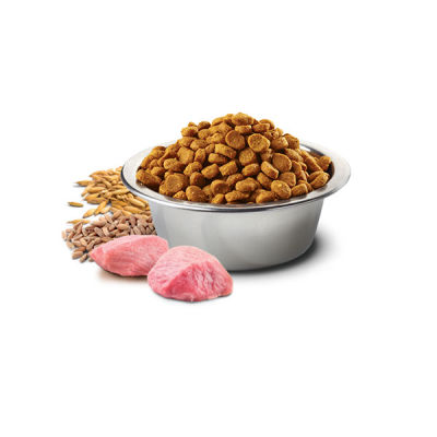 N&D Düşük Tahıllı Tavuk Etli ve Narlı Kısırlaştırılmış Kedi Maması 10 kg - 6