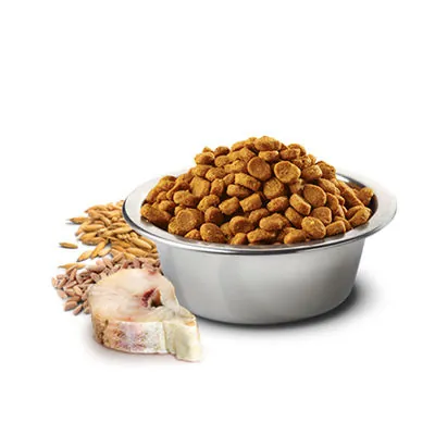 N&D Düşük Tahıllı Ocean Balıklı ve Portakallı Kedi Maması 1.5 KG - 3