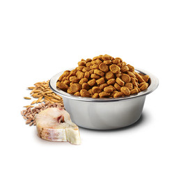N&D Ocean Düşük Tahıllı Morina Balıklı ve Portakallı Yetişkin Kedi Maması 1.5 kg - 3