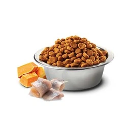 ​N&D Ocean Balkabaklı Ringa Balıklı ve Portakallı Küçük Irk Köpek Maması 2.5Kg - 2