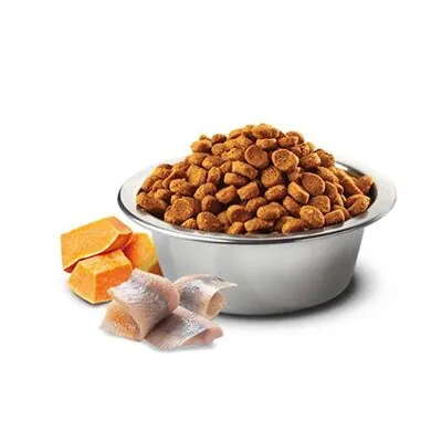 ​N&D Ocean Balkabaklı Ringa Balıklı ve Portakallı Küçük Irk Köpek Maması 2.5Kg - 2