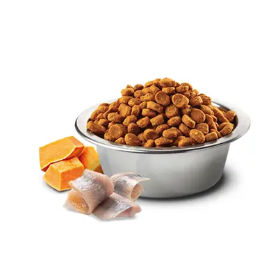 N&D Ocean Balkabaklı Ve Ringa Balıklı Kedi Maması 1.5 Kg - 4