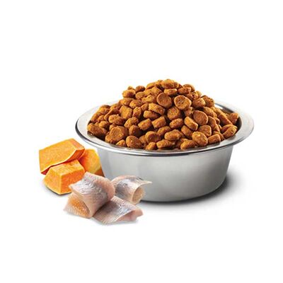 N&D Ocean Balkabaklı, Ringa Balıklı ve Portakallı Yetişkin Kedi Maması 5 kg - 2